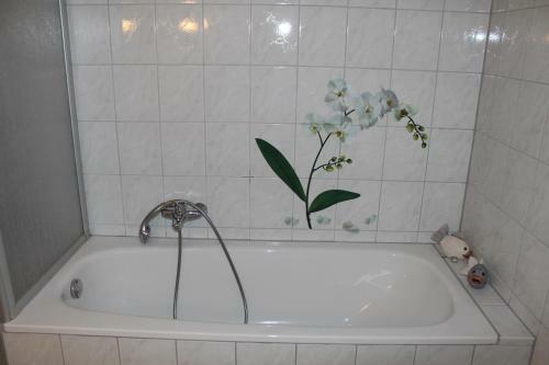 Hostal G�stehaus Kril