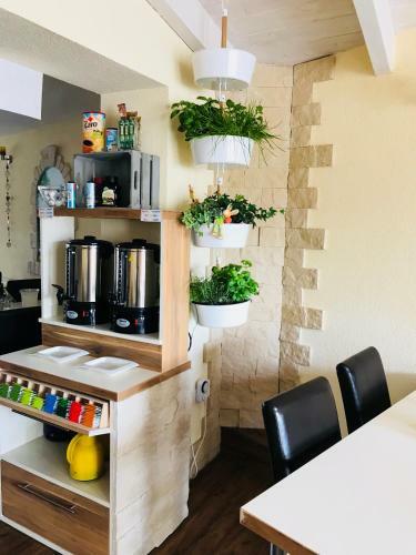 Hostal G�stehaus Elzblick