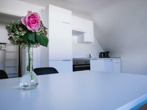 Apartamento Ferienwohnung Kirschbaum