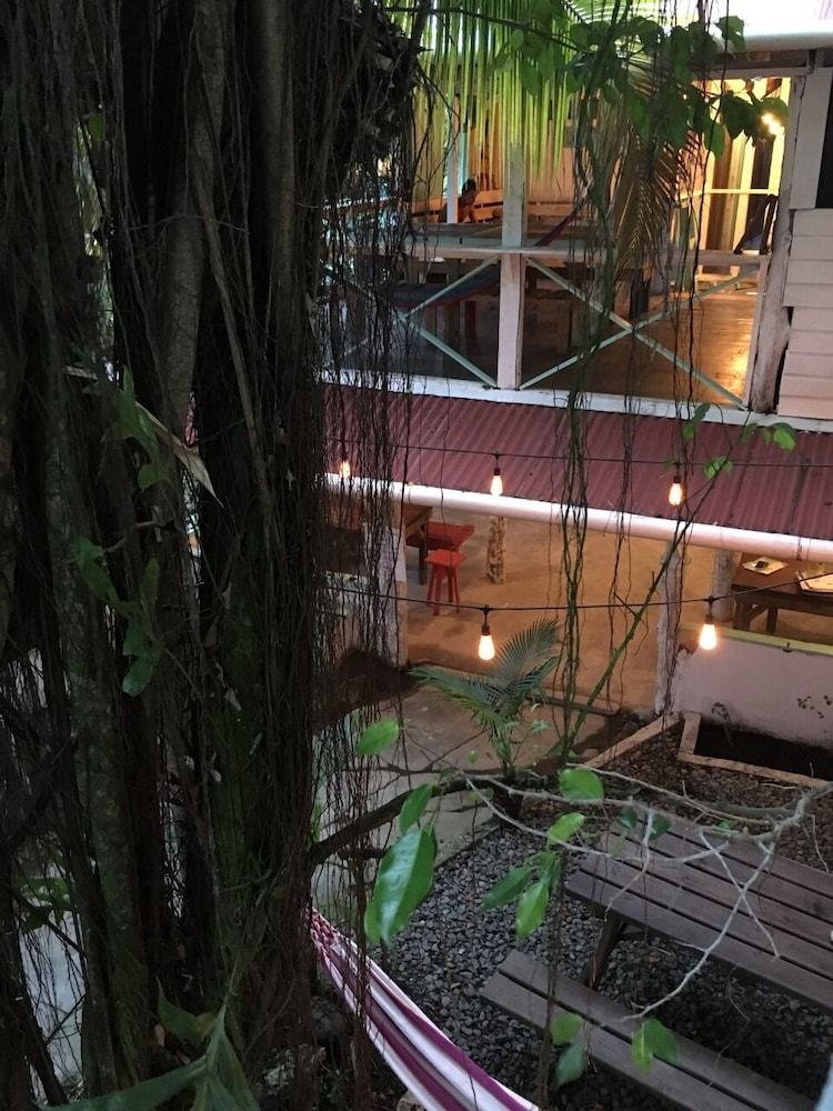 Hostal Twin Fin Hostels