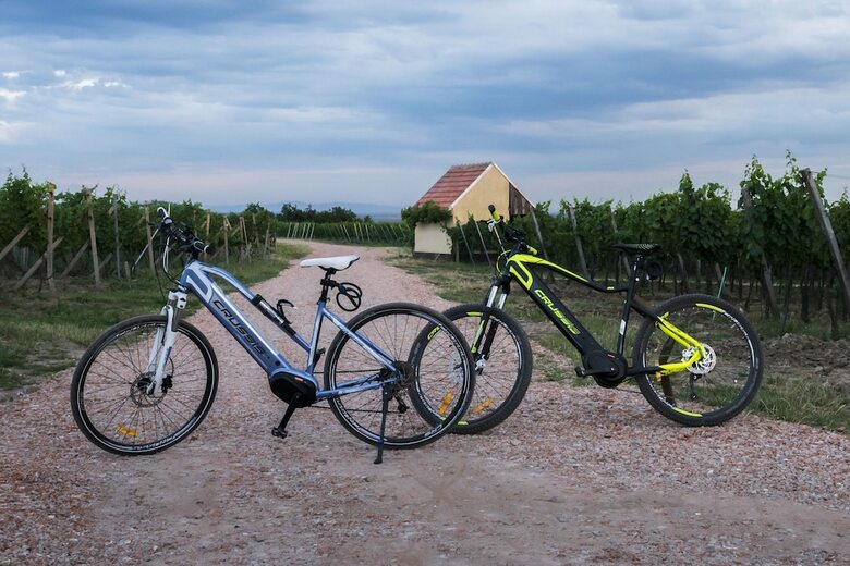 Agroturismo Villa Tosca - Vinn� Sklep