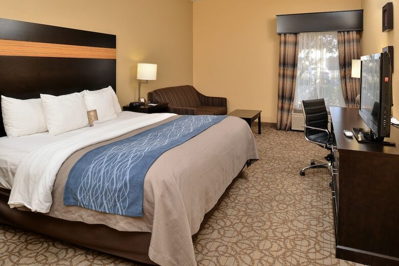 Hotel Comfort Inn & Suites At Stone Mountain