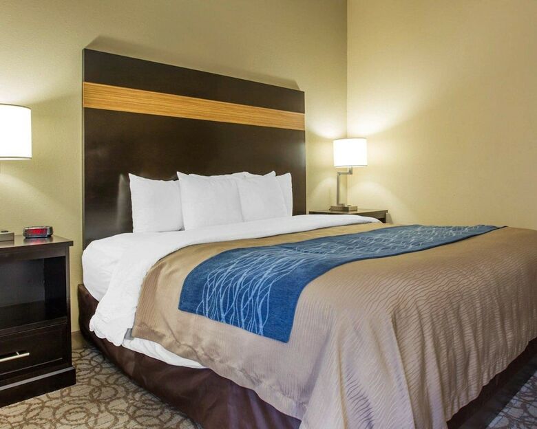 Hotel Comfort Inn & Suites At Stone Mountain