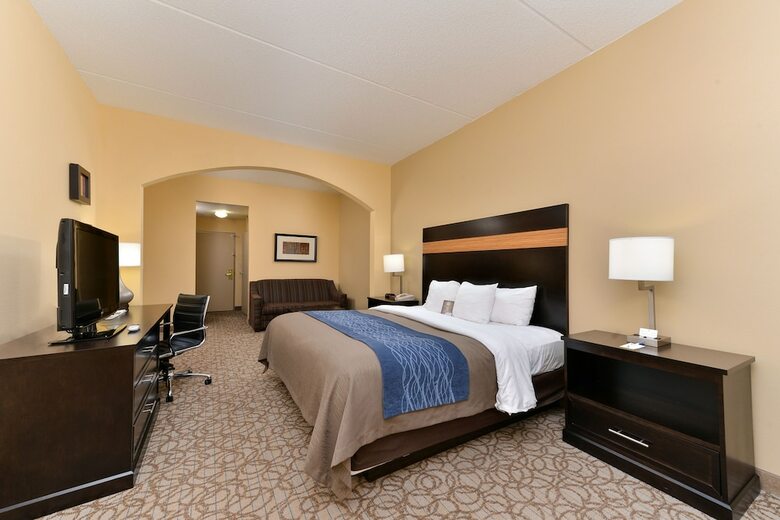 Hotel Comfort Inn & Suites At Stone Mountain