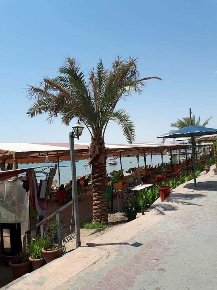 Hostal Alamer Hostel 2