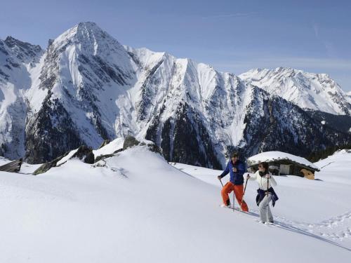 Chalet Hauser
