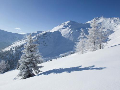 Chalet Hauser