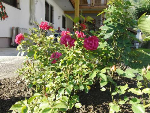 Apartamento Appartements G�rtner