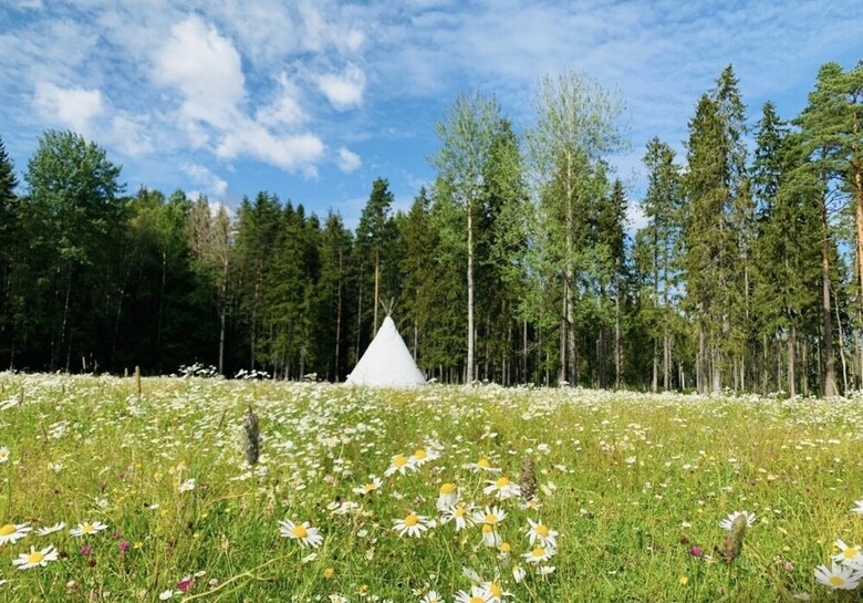Cabin Lilly Of The Valley. Open For Bookings
