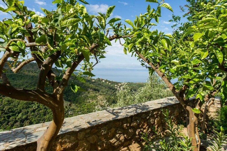 Apartamentos Breathtaking Sea View Close To The Beach