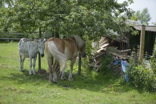 B&B Le Plat Pays