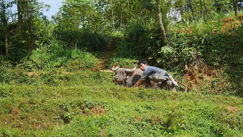 Hostal Zizi Homestay And Trekking - Hostel