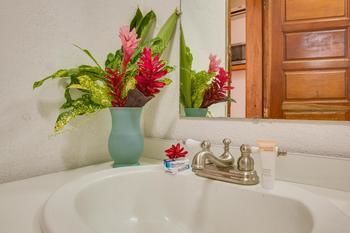 Maya Mountain Lodge & Tours