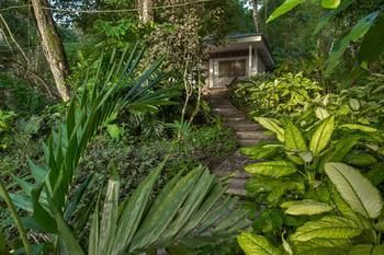 Maya Mountain Lodge & Tours