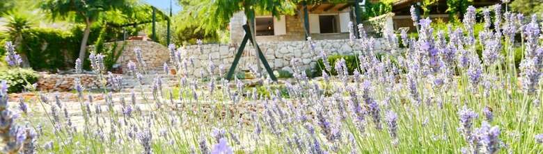 Apartamentos Bay House Rosohotnica