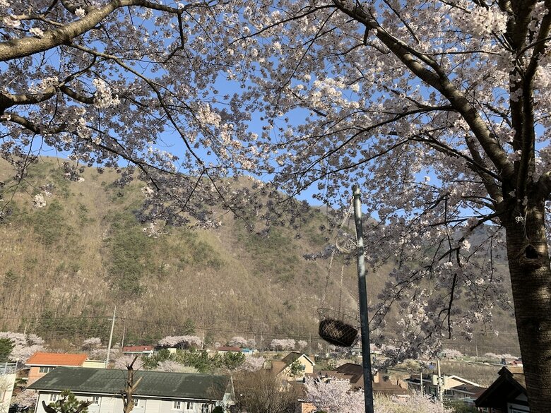 Yangsan Cozy Pension