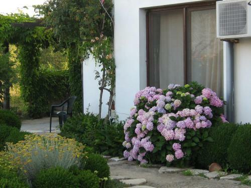 Hostal South Beach Villa