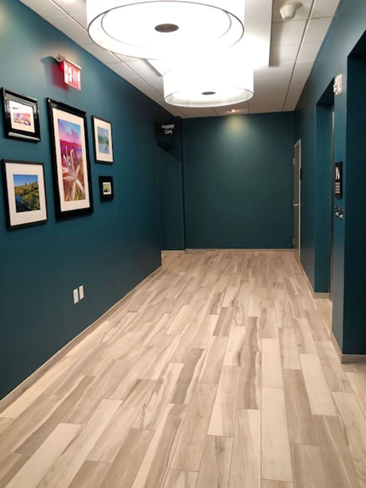 Hotel Hampton Inn & Suites Tampa Riverview Brandon, Fl