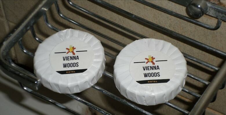 Hotel Vienna Woods Holiday Inn Limited