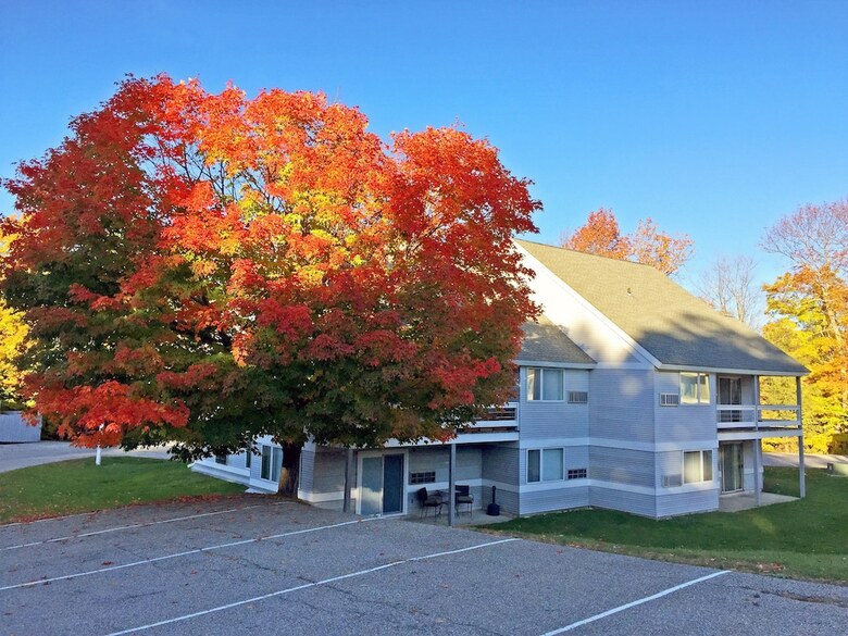 Apartamentos Kcis 441 - Killington Studio:  Sleeps 4, Close To It All!