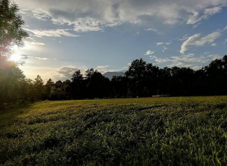 Future Is Nature Playground