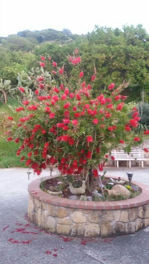 Bed & Breakfast Baciati Dal Sole