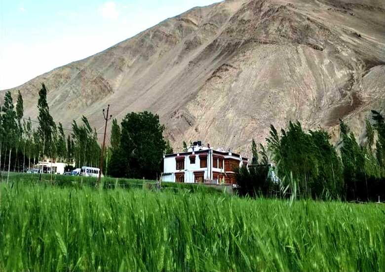 Tih Namra Village Hotel - Temisgam
