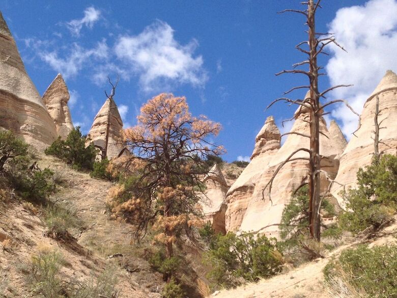 Pueblo Bonito Bed And Breakfast Inn