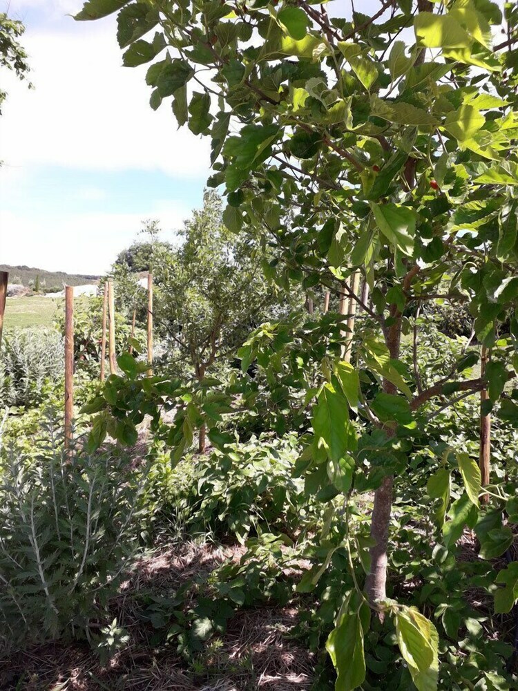 Cabanes Tr�sors de Campagne