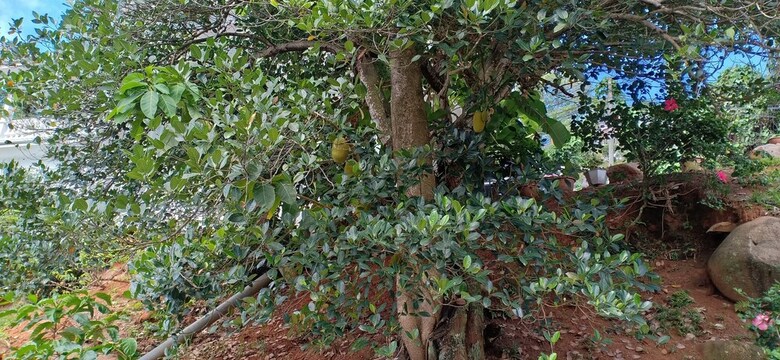 Apartamentos R�ve Bleu