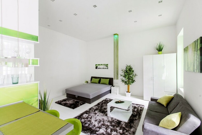 Zirnyi 9 Apartment