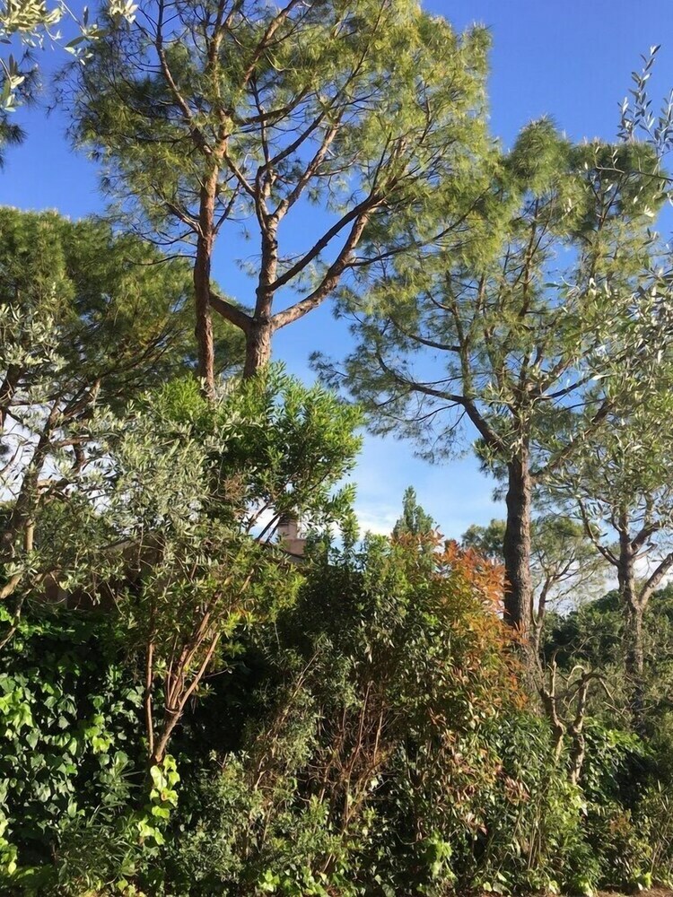 B&B Villino Ada