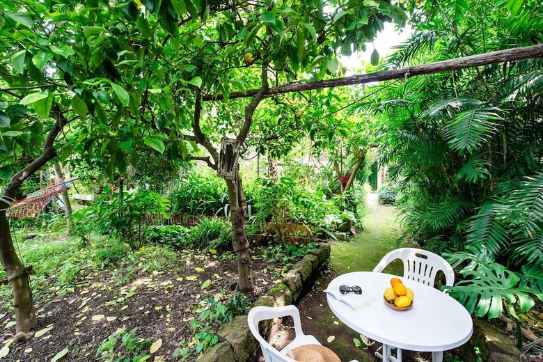 Apartamento Il Giardino Di Aranci E Limoni