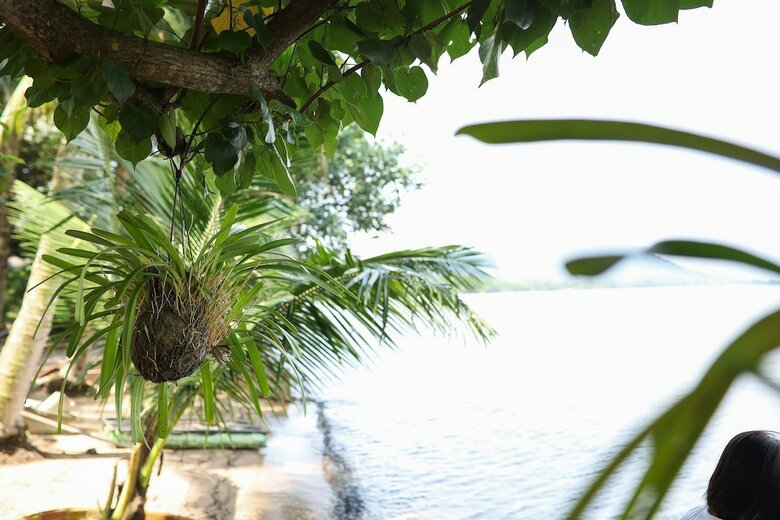 Hotel Local Beach Phu Quoc