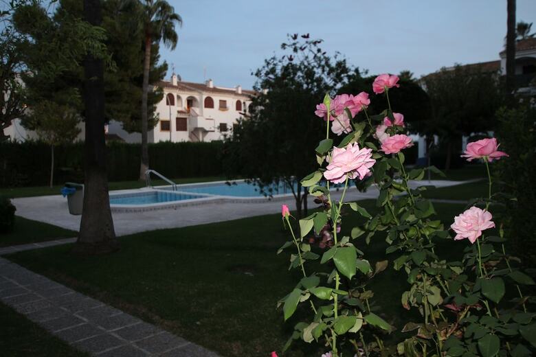 Apartamentos Flor De Orqu�dea