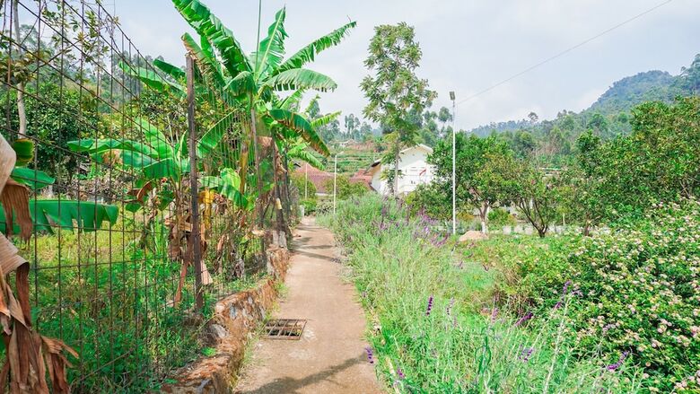 Hotel Oyo 1785 Villa Jeruk Ciwidey