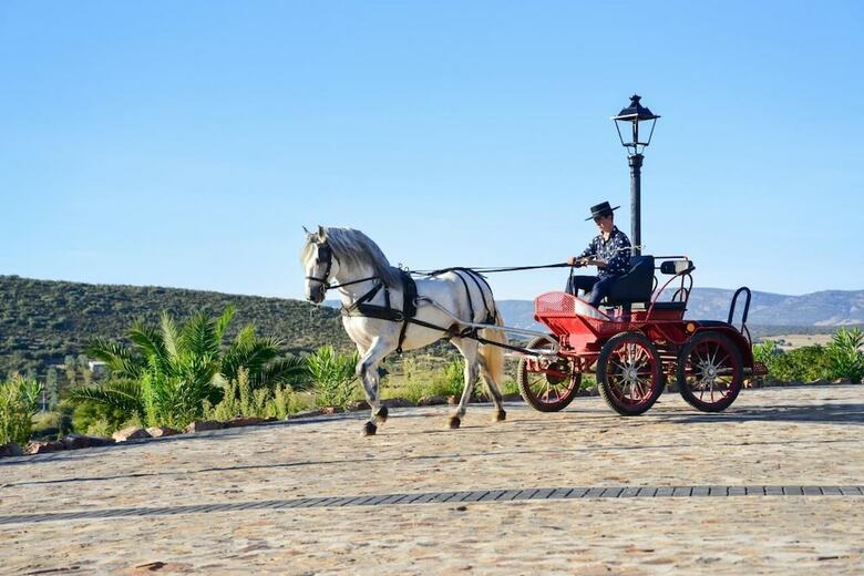 Agroturismo Casa Rural Yeguada Jimenez Latorre
