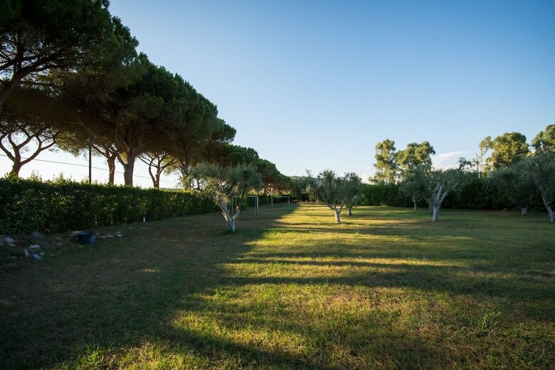 Villa Degli Ulivi