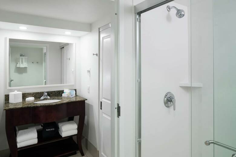 Hotel Hampton Inn & Suites At Beale Street (.)