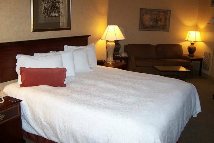 Hotel Hampton Inn & Suites At Beale Street (.)