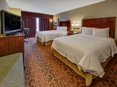 Hotel Hampton Inn & Suites At Beale Street (.)