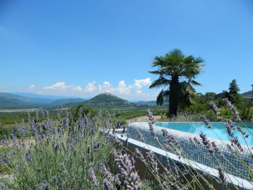 Le Grand Cru Villa