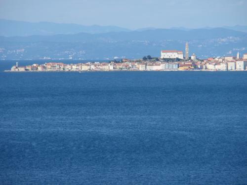 Apartments Salvore