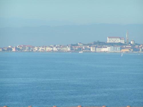Apartments Salvore