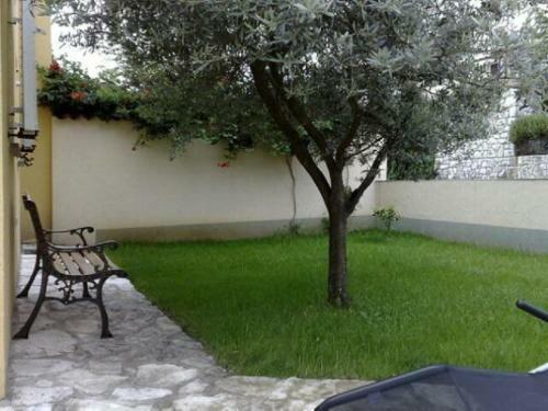 Apartments Salvore