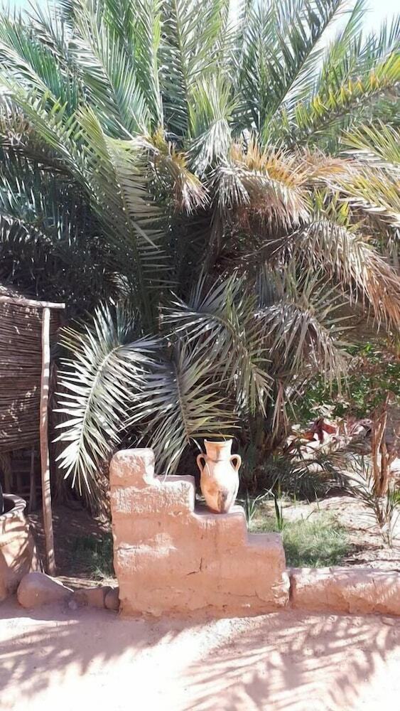 Posada The Palm Grove