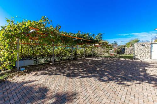 Apartments Frlan