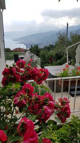 Apartments Frlan