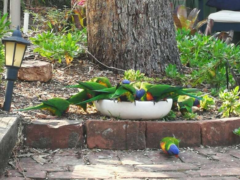 Kalimna Woods Cottages