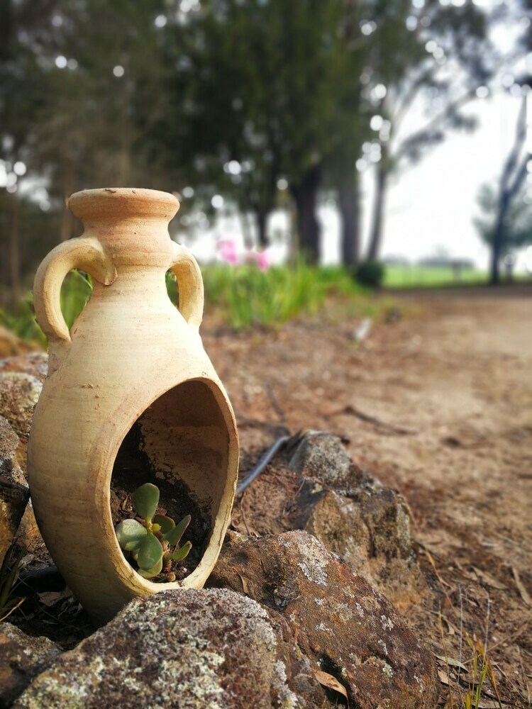 Kalimna Woods Cottages